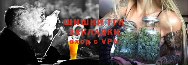 мдпв Бородино
