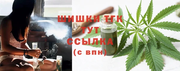 мдпв Бородино