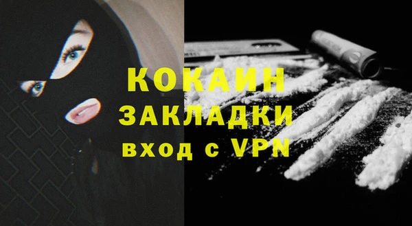 мдпв Бородино