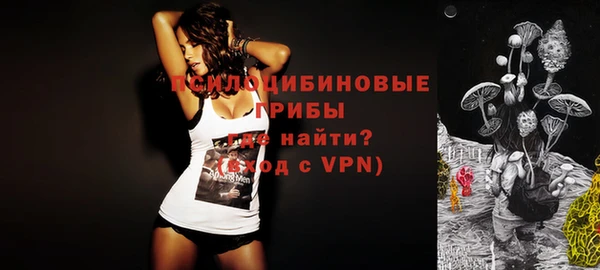 мдпв Бородино