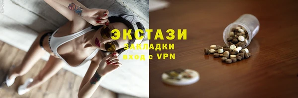 мдпв Бородино