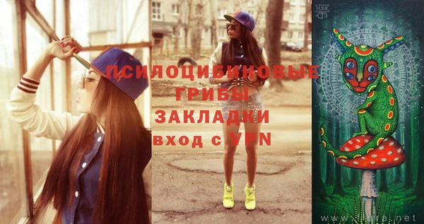 сатива Верхнеуральск