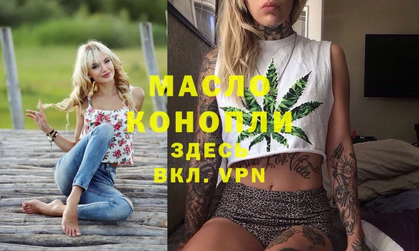мдпв Бородино