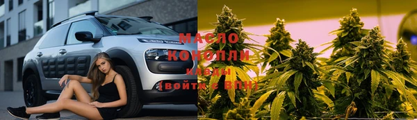 мдпв Бородино