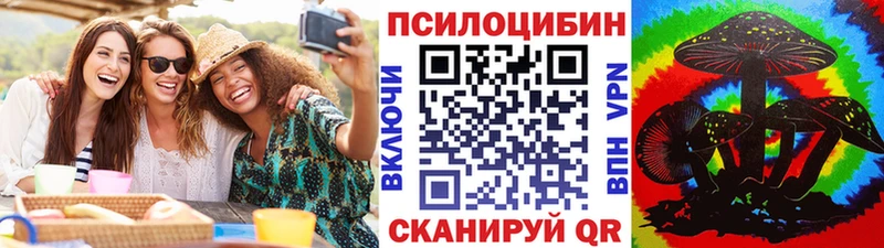 omg онион  Реутов  Галлюциногенные грибы Psilocybine cubensis 