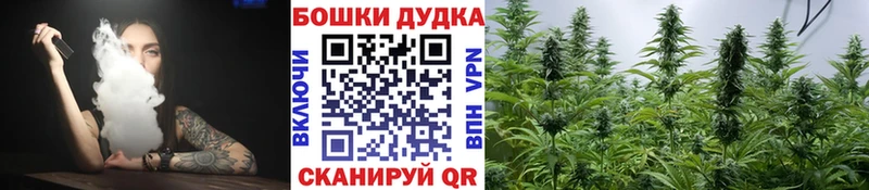 Бошки марихуана Bruce Banner  Реутов 